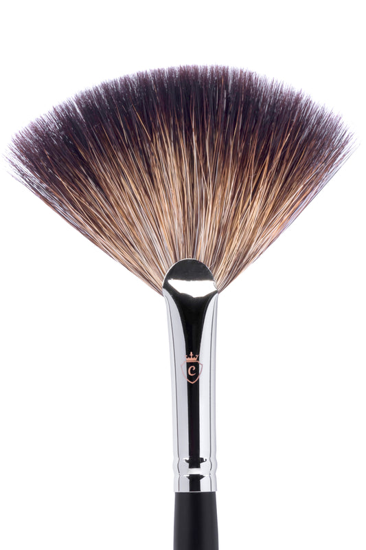 CTR W0134 Fan Brush, Italian Raccoon Bristles W0134 South Korea CTR