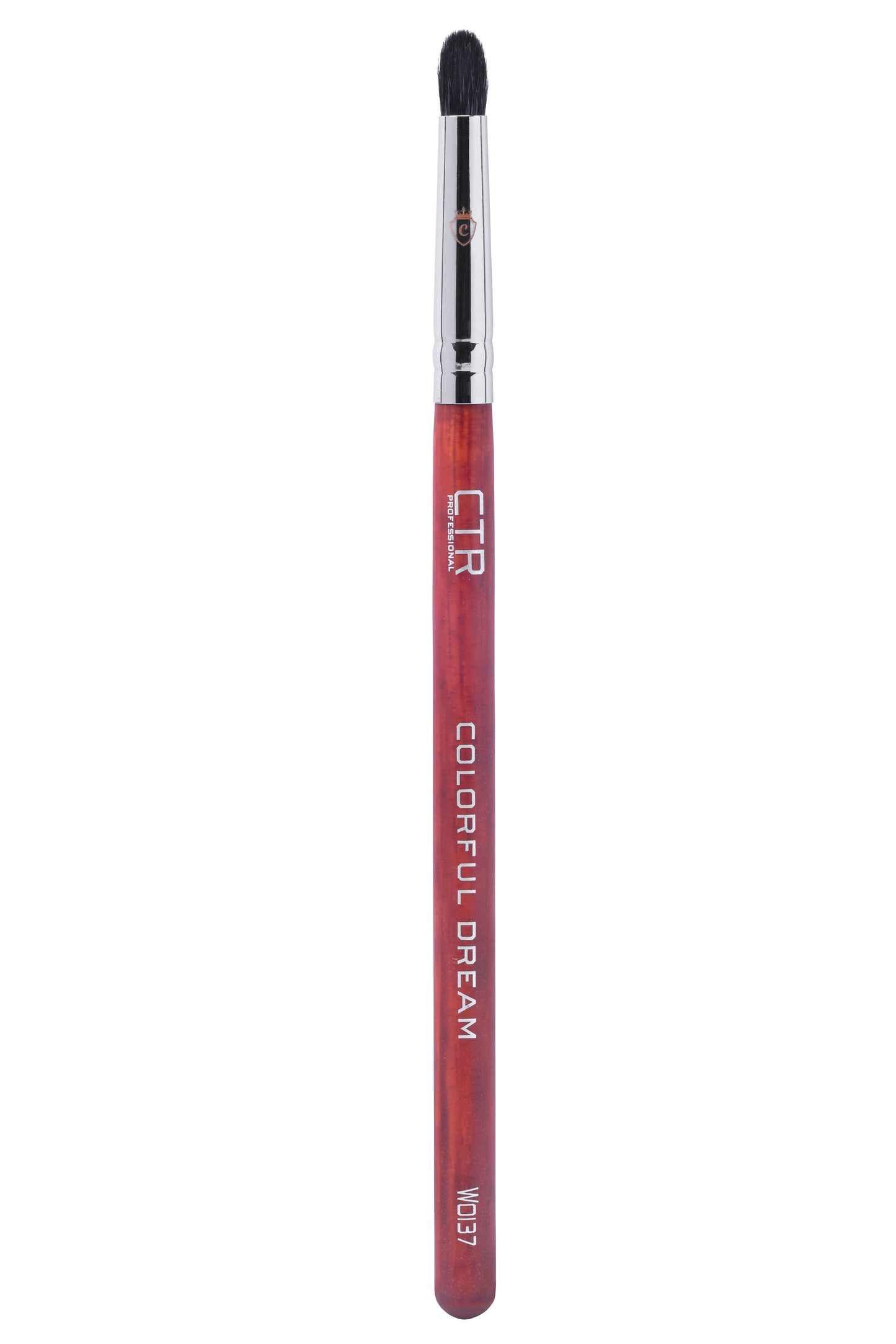 Professional Eye Makeup Kit with Brushes & Lashes