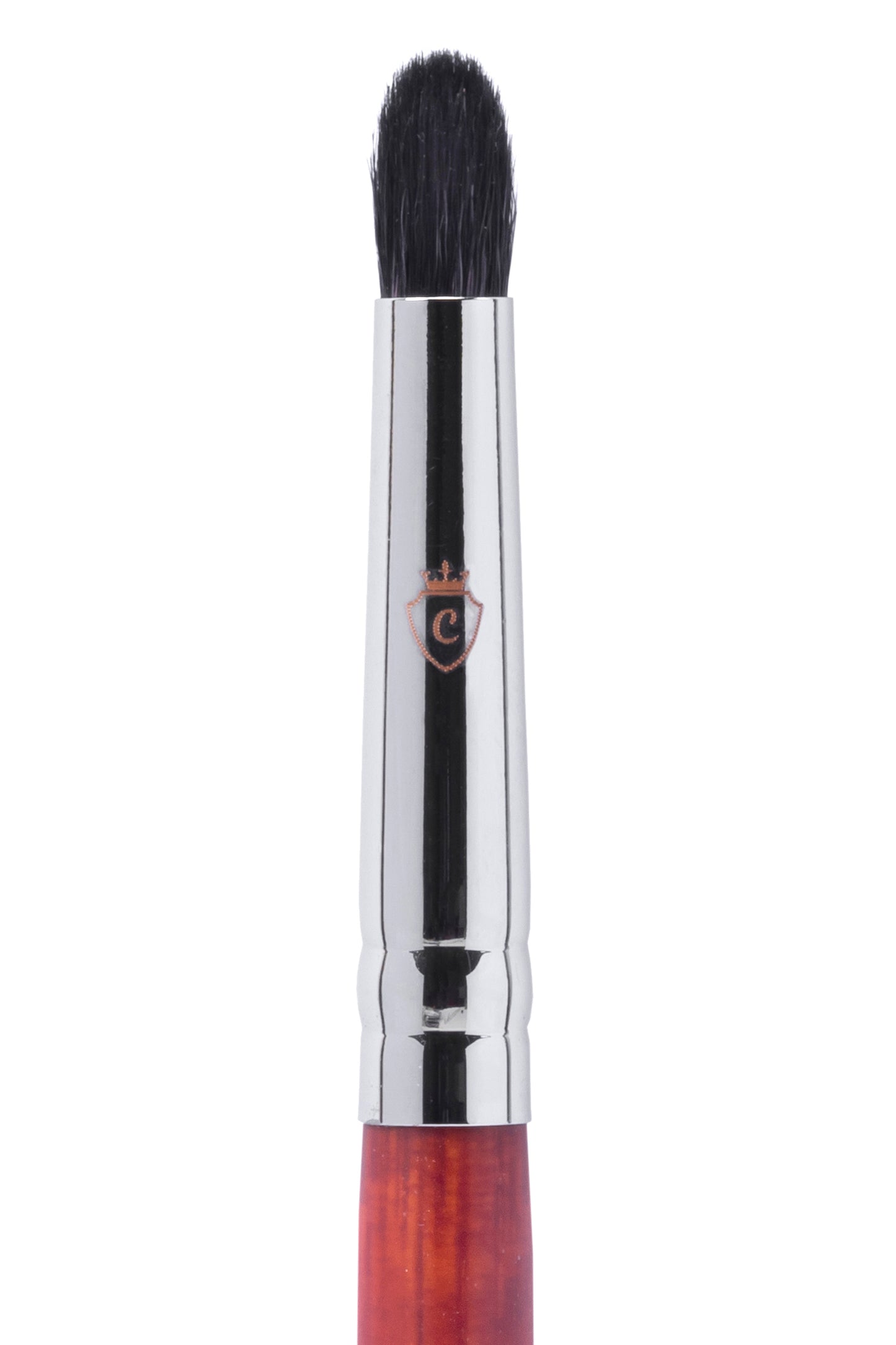 Professional Eye Makeup Kit with Brushes & Lashes