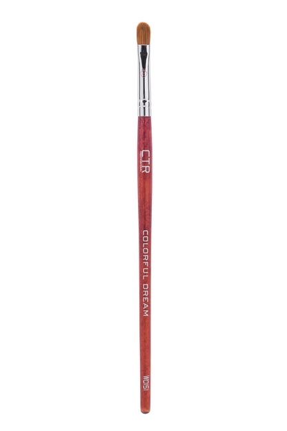 Professional Eye Makeup Kit with Brushes & Lashes