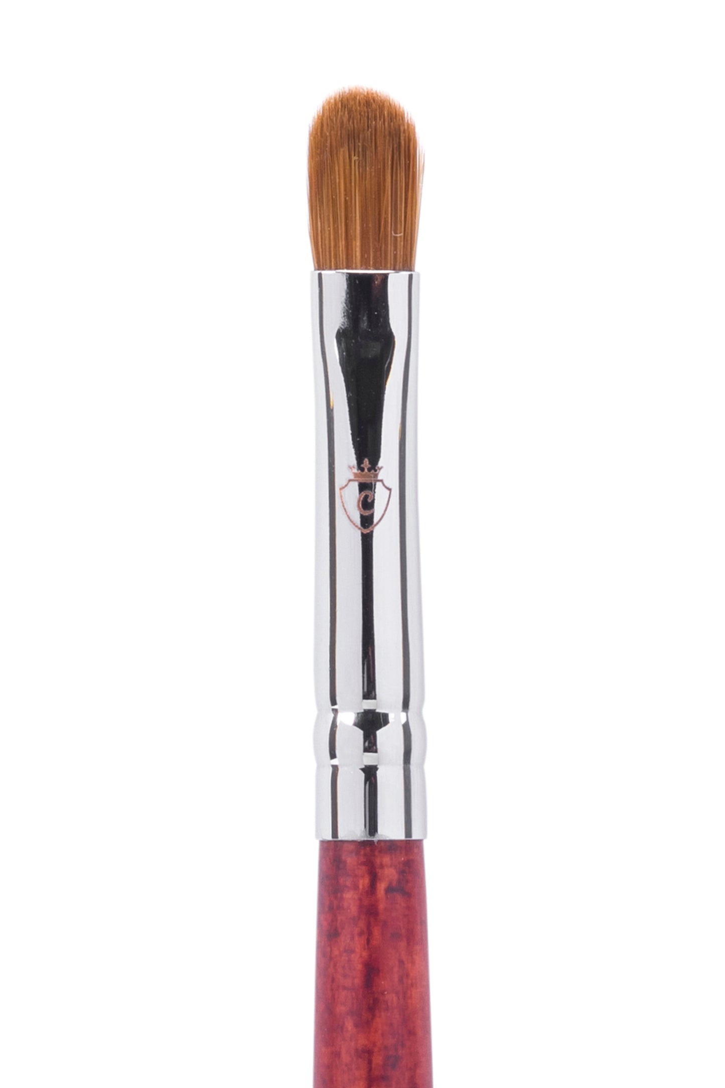 Professional Eye Makeup Kit with Brushes & Lashes
