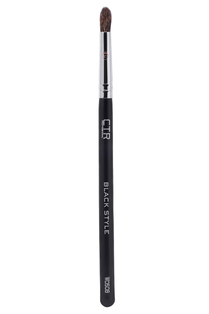 One CTR PROFESSIONAL makeup brush with a black handle, silver ferrule, and dark bristles. Labeled BLACK STYLE W0508.