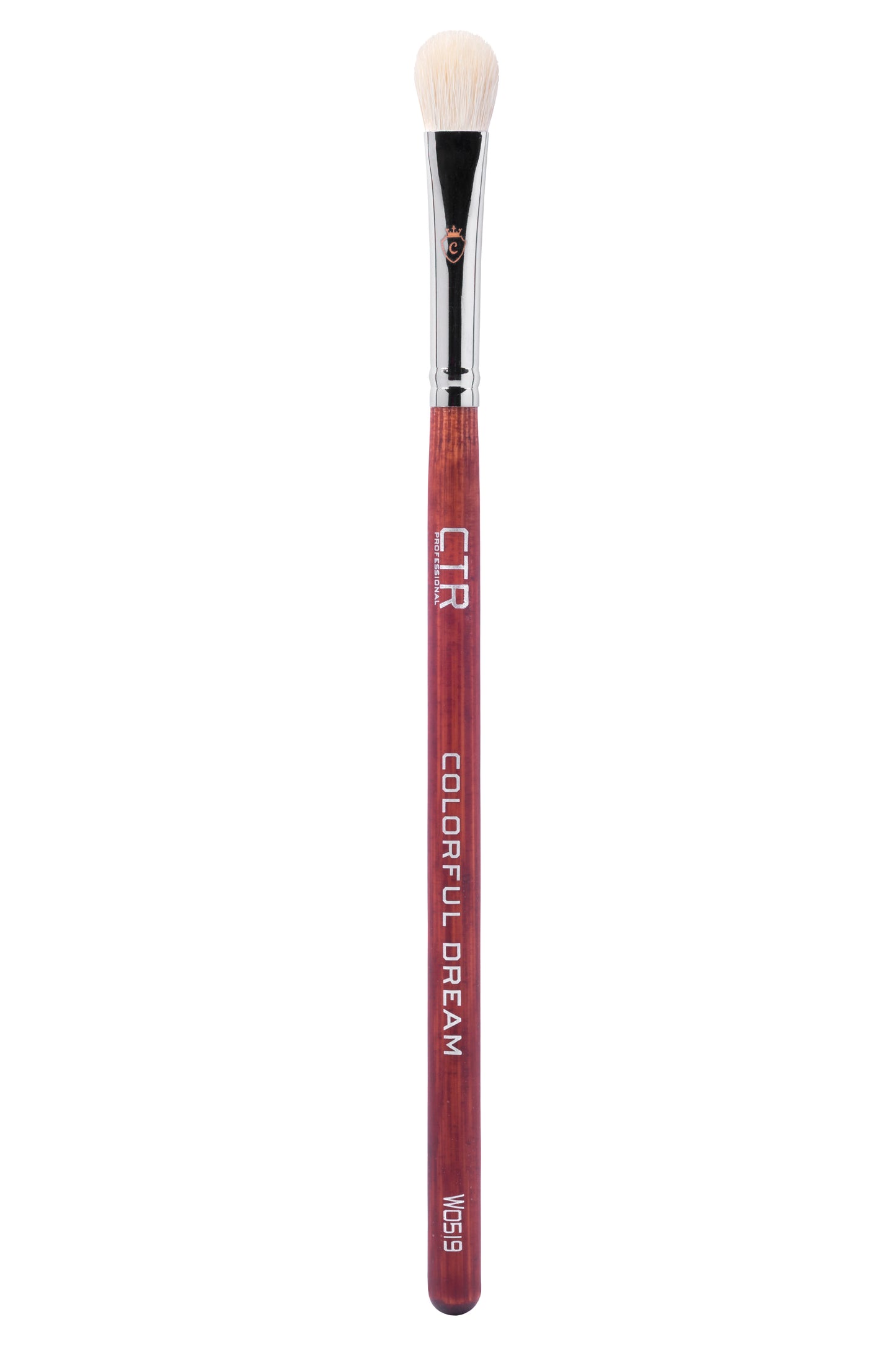 Professional Eye Makeup Kit with Brushes & Lashes