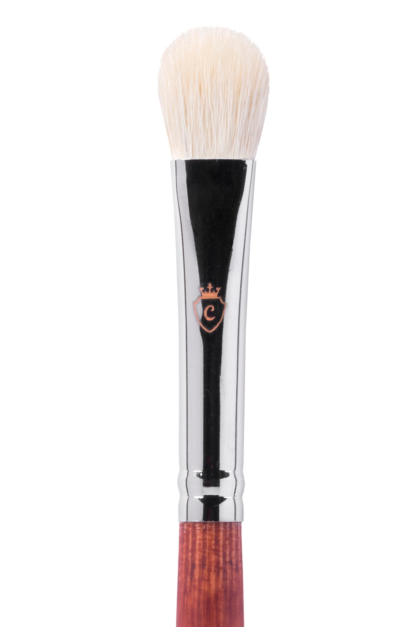 Professional Eye Makeup Kit with Brushes & Lashes