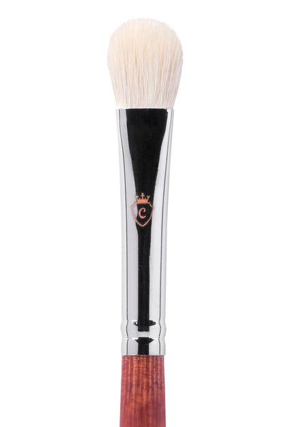 Professional Eye Makeup Kit with Brushes & Lashes