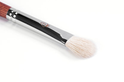 Professional Eye Makeup Kit with Brushes & Lashes