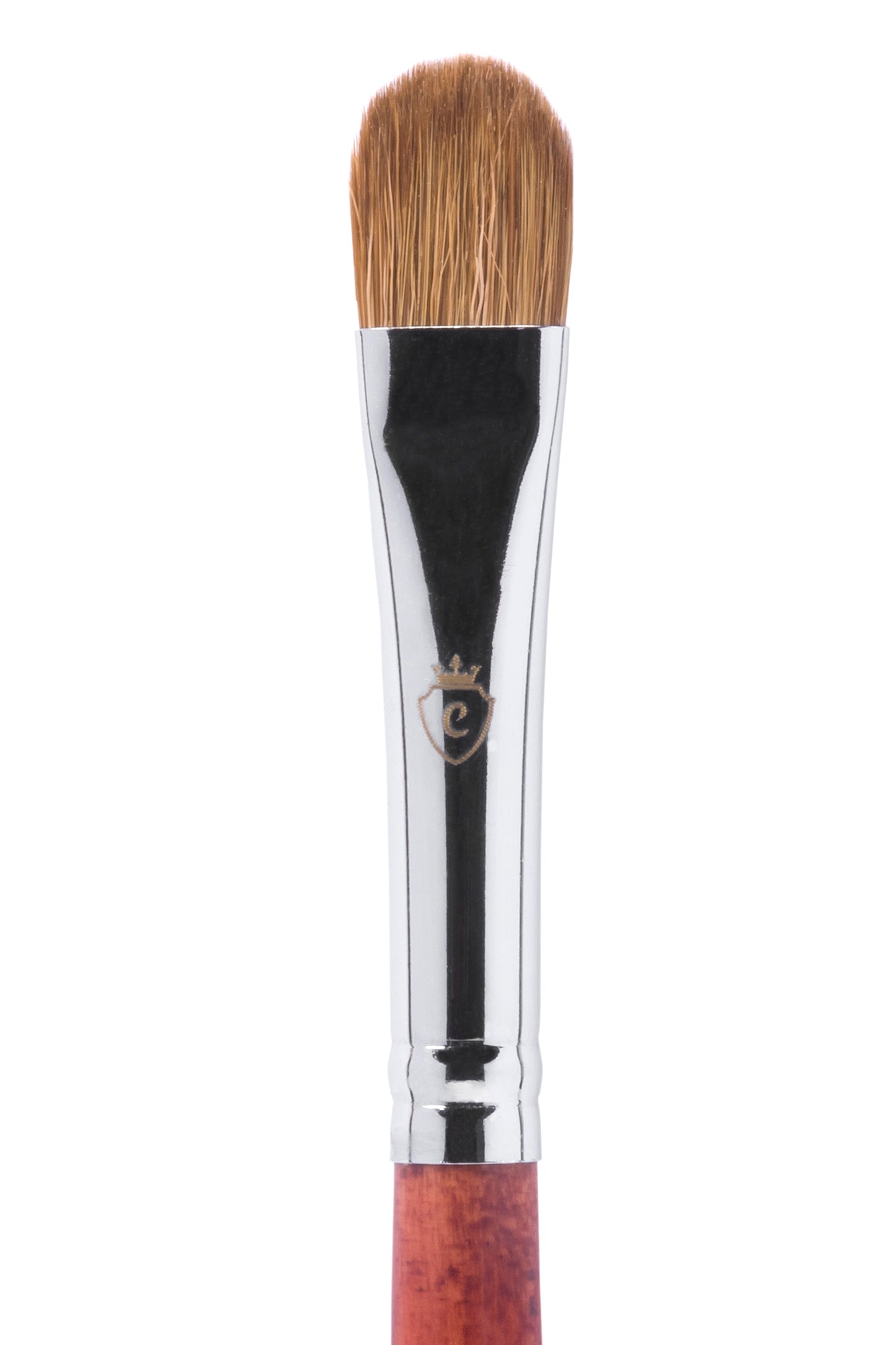Professional Makeup Kit for Eyes, Brows & Complexion