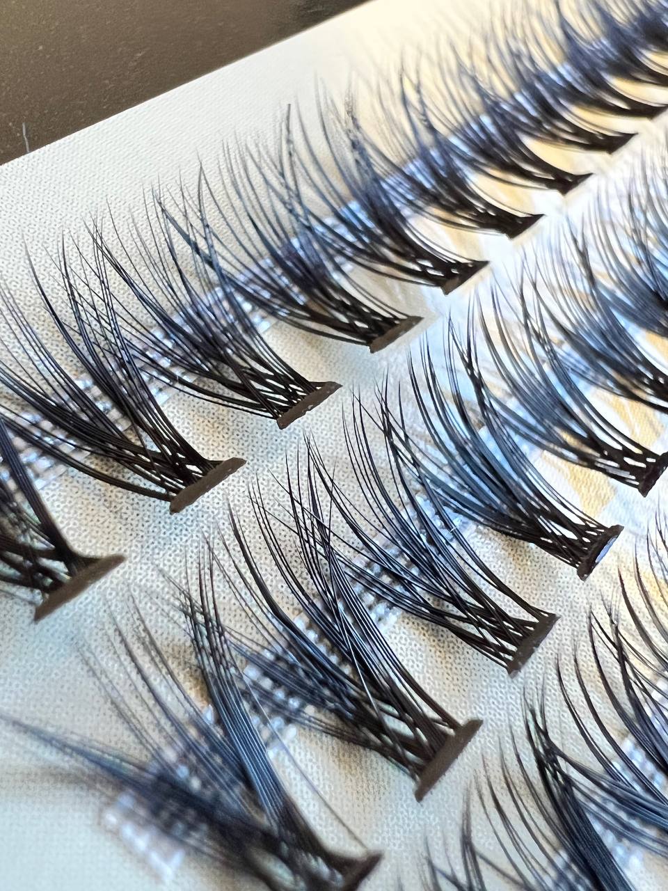 Professional Eye Makeup Kit with Brushes & Lashes