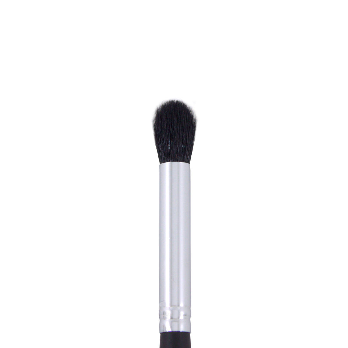 Single makeup brush with black bristles, a silver metal ferrule, and a black handle against a white background.