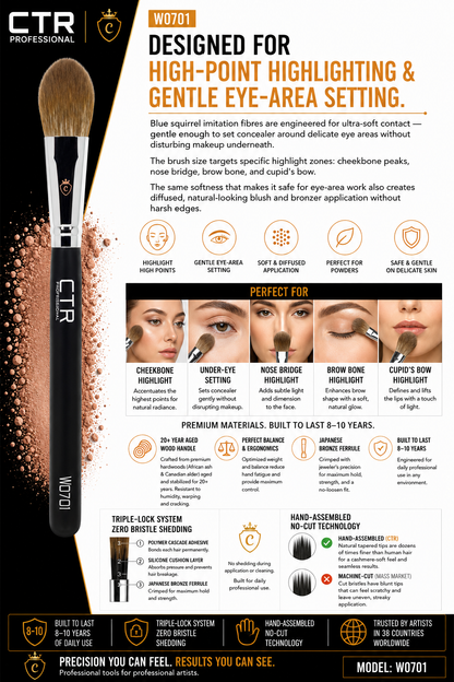 CTR W0701 highlighter under-eye setting brush Black Style bristle head close-up vertical natural hair rounded dome tip silver chrome CTR crown logo ferrule — CTR Professional
