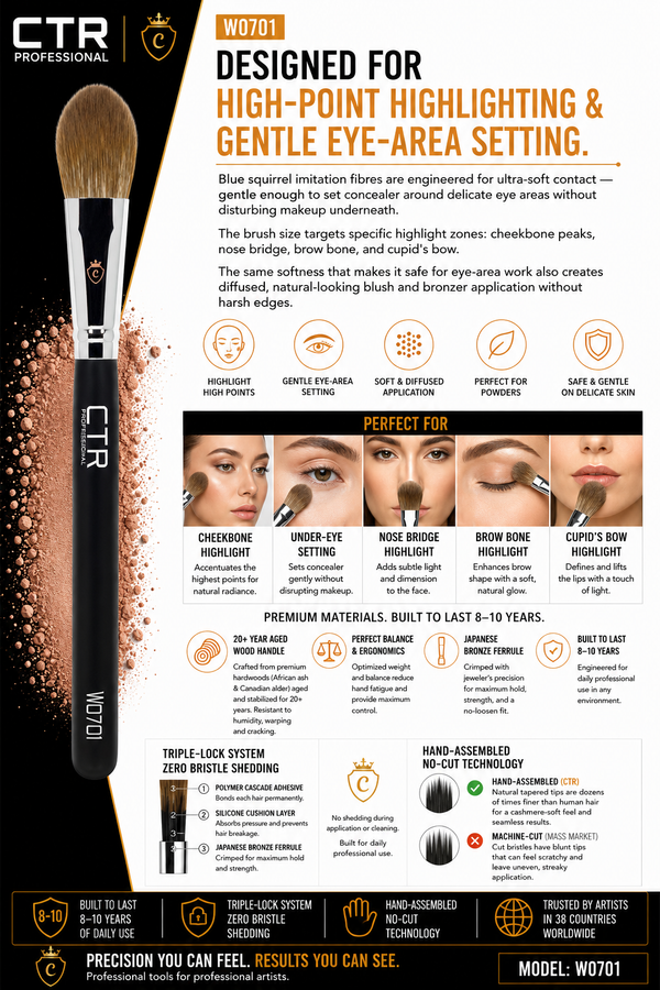 CTR W0701 highlighter under-eye setting brush Black Style bristle head close-up vertical natural hair rounded dome tip silver chrome CTR crown logo ferrule — CTR Professional
